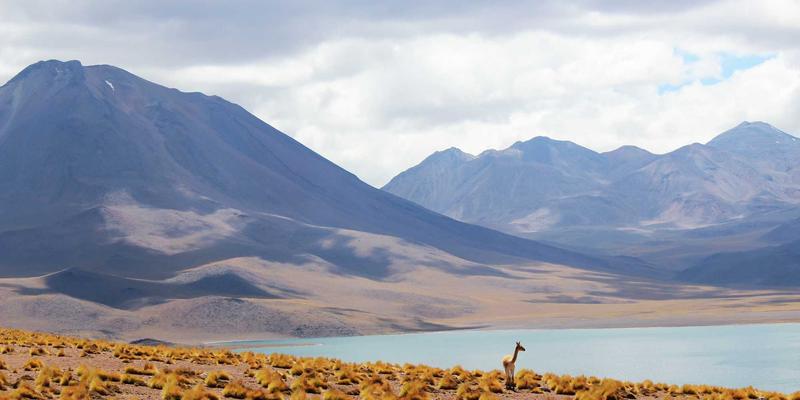 Spencer Arms与战术装备革命：军用可穿戴外骨骼如何从力量增强迈向全方位士兵生理状态监测