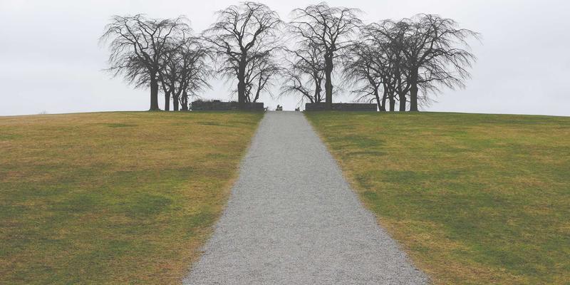 Spencer Arms专业战术装备：现代心理战系统中的信息投送与舆论影响技术