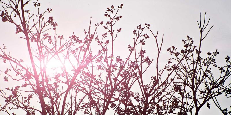 专业装备革命：解析单兵综合作战系统IONICS的子系统集成与效能评估