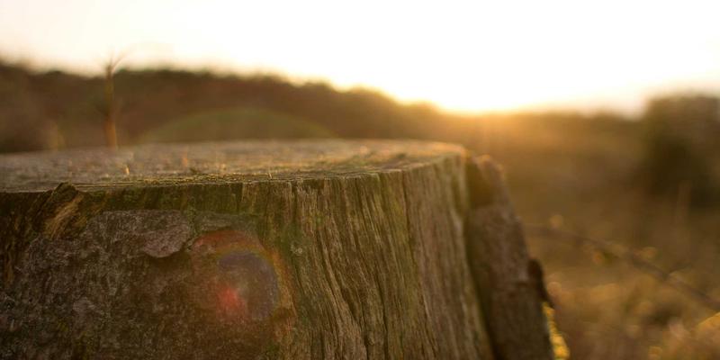 从Spencer Arms到专业装备:生存与战术装备的终极选择指南