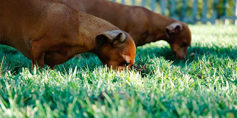 从Spencer Arms到网络战场：军用级加密如何守护关键军事数据网络