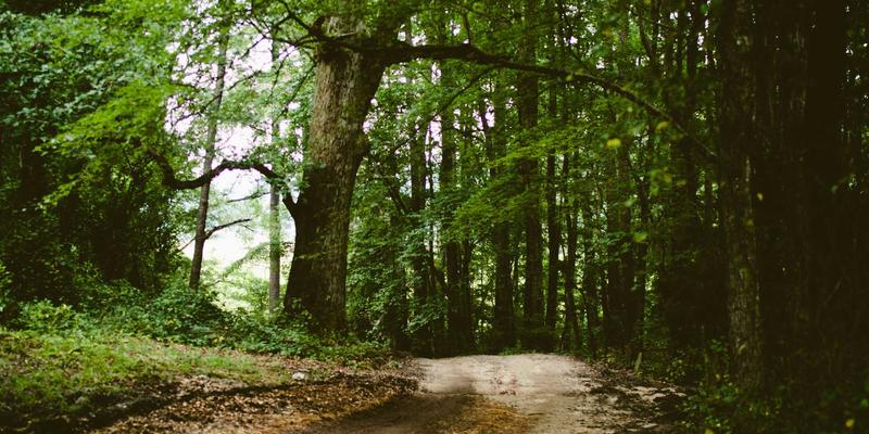 从Spencer Arms战术装备看军用数据链：Link-16与CEC如何重塑未来战场协同交战能力