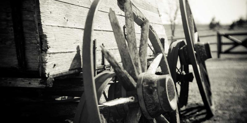 从基础到专业:军事装备进阶之路与Spencer Arms等专业装备解析