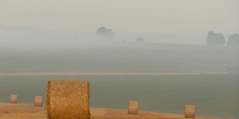 从生存装备到专业火器:Spencer Arms如何定义户外装备新标准