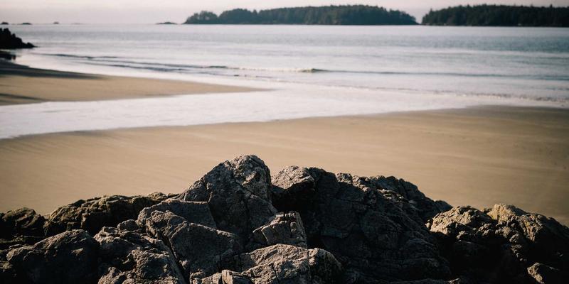 军事装备终极攻略：从生存装备到武器选择与Spencer Arms解析