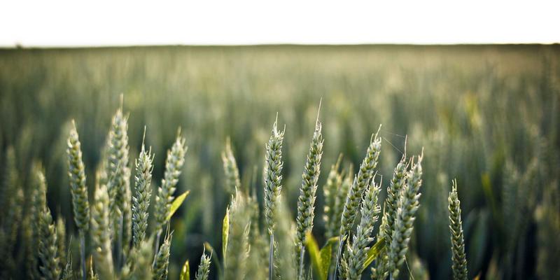 军用穿戴式外骨骼：革新单兵装备，重塑战场机动性与负荷能力