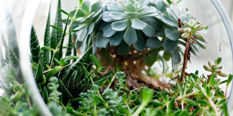 战术装备与生存装备：从Spencer Arms看现代单兵装备的演进与选择