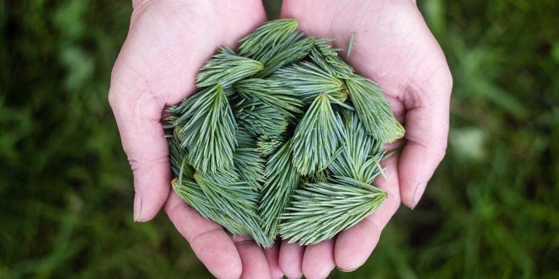 战术装备革新：军用复合材料与轻量化技术如何重塑军事装备性能